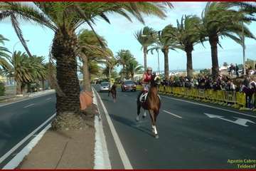 Carreras de caballos en Telde por San Gregorio (Foto TA y TF)